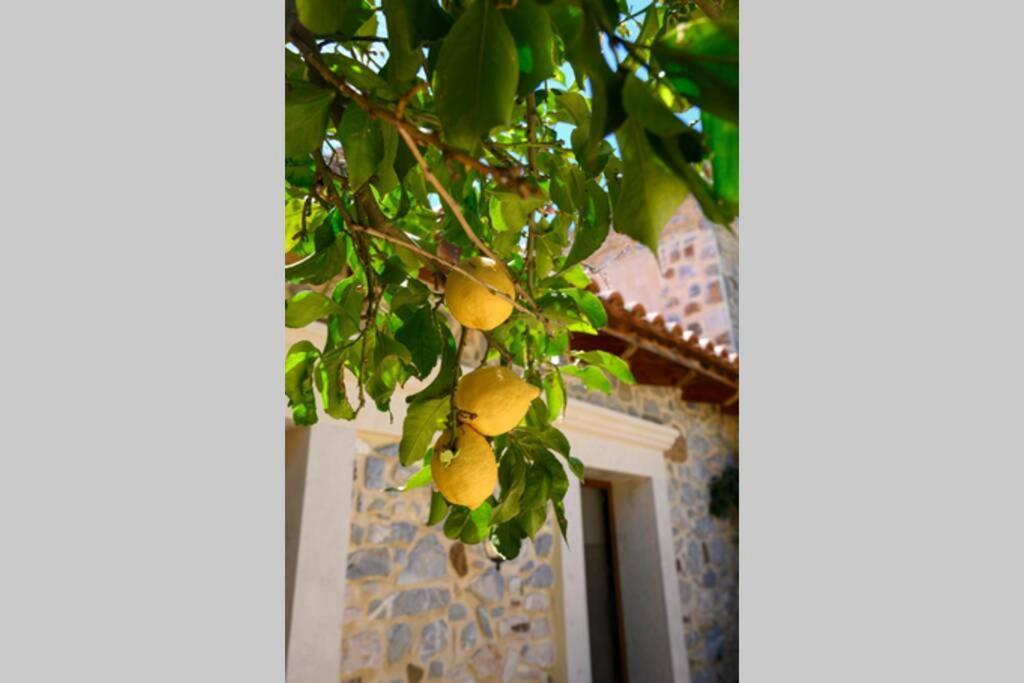 Marigoula House Villa Pombia Luaran gambar